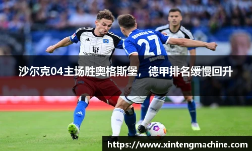 沙尔克04主场胜奥格斯堡，德甲排名缓慢回升