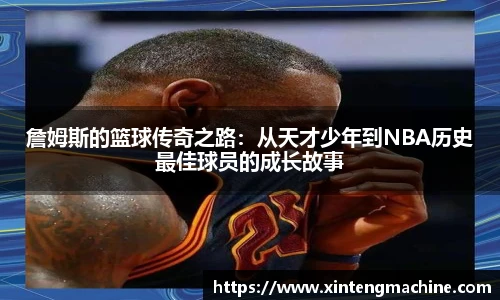 BB贝博ballbet登录人口